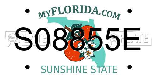 S08855E Florida License Plate