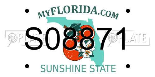 S08871 Florida License Plate