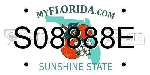 S08888E Florida License Plate