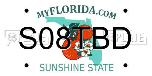 S08TBD Florida License Plate