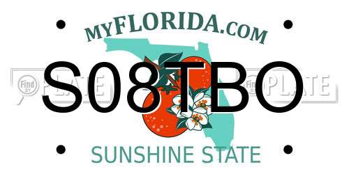 S08TBO Florida License Plate