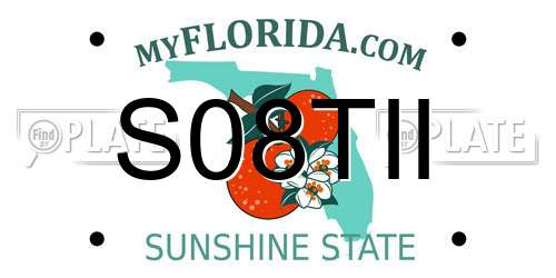 S08TII Florida License Plate