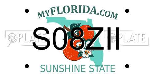 S08ZII Florida License Plate