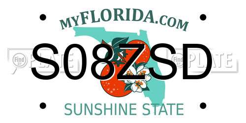 S08ZSD Florida License Plate