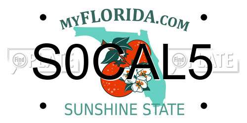 S0CAL5 Florida License Plate