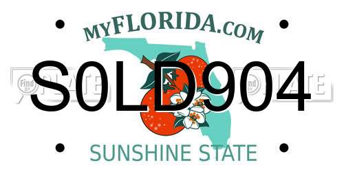 S0LD904 Florida License Plate