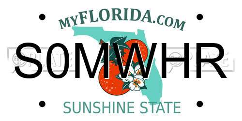 S0MWHR Florida License Plate