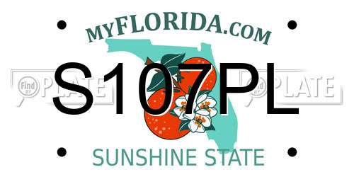 S107PL Florida License Plate