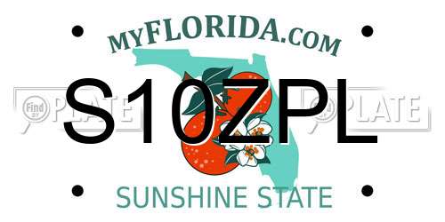 S10ZPL Florida License Plate