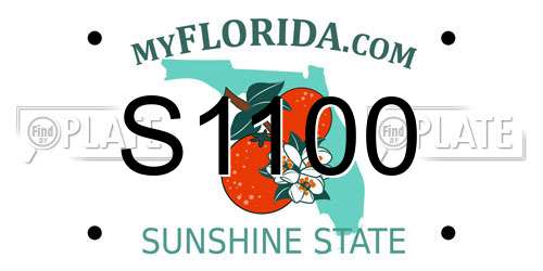 S1100 Florida License Plate