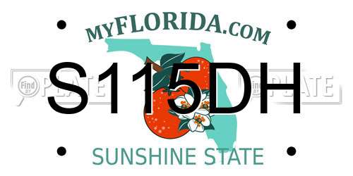 S115DH Florida License Plate