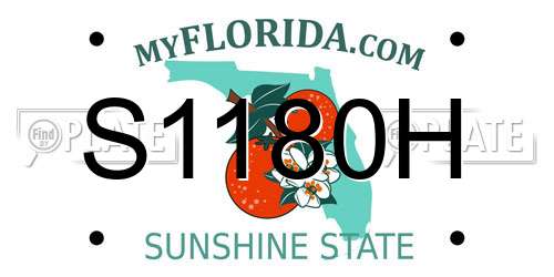 S1180H Florida License Plate