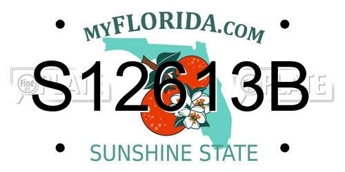 S12613B Florida License Plate
