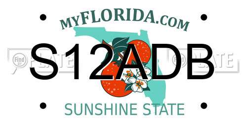 S12ADB Florida License Plate