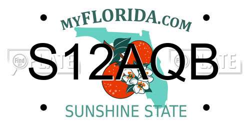 S12AQB Florida License Plate