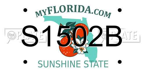 S1502B Florida License Plate