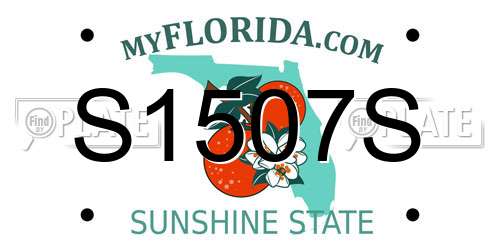 S1507S Florida License Plate