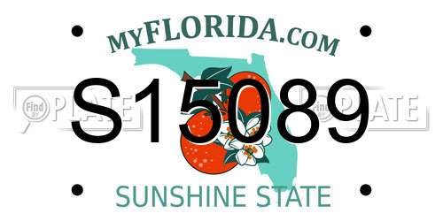 S15089 Florida License Plate