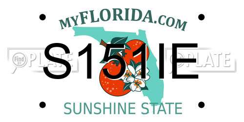 S151IE Florida License Plate