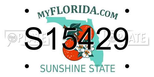 S15429 Florida License Plate