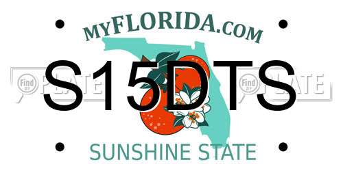 S15DTS Florida License Plate