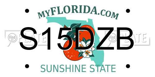 S15DZB Florida License Plate