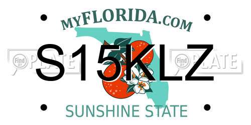 S15KLZ Florida License Plate