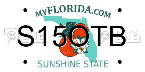 S15OTB Florida License Plate