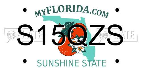 S15QZS Florida License Plate
