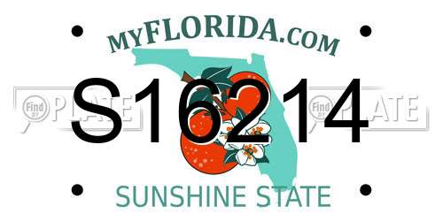 S16214 Florida License Plate