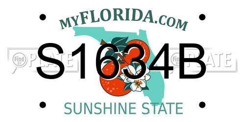 S1634B Florida License Plate