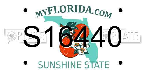 S16440 Florida License Plate