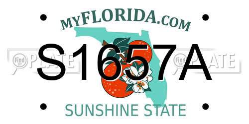 S1657A Florida License Plate