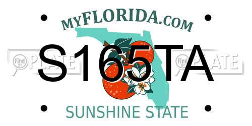 S165TA Florida License Plate