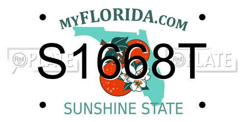 S1668T Florida License Plate