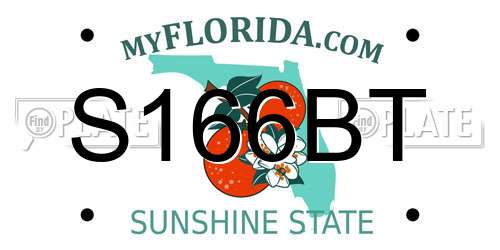 S166BT Florida License Plate