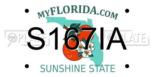 S167IA Florida License Plate