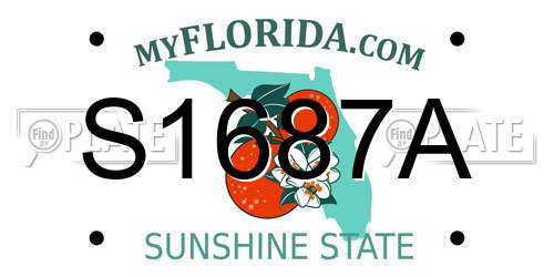 S1687A Florida License Plate