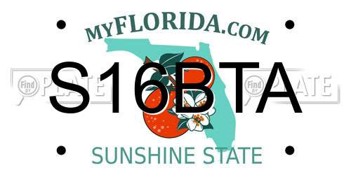 S16BTA Florida License Plate