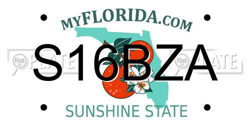 S16BZA Florida License Plate