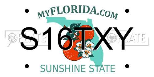 S16TXY Florida License Plate