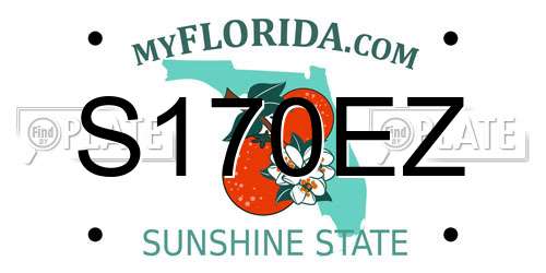 S170EZ Florida License Plate