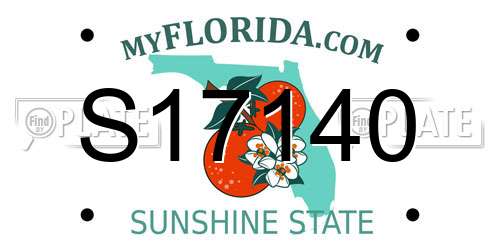 S17140 Florida License Plate