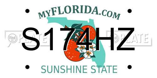 S174HZ Florida License Plate
