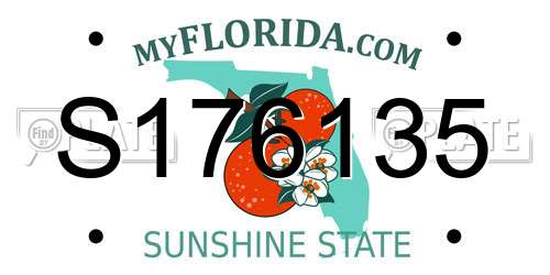 S176135 Florida License Plate