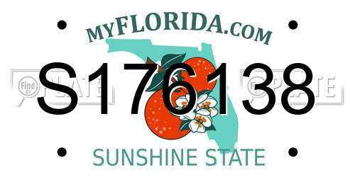 S176138 Florida License Plate