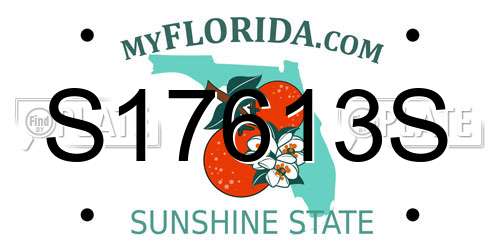 S17613S Florida License Plate
