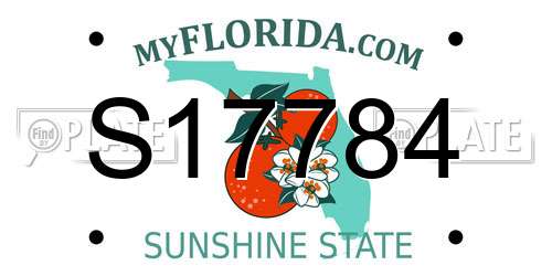S17784 Florida License Plate