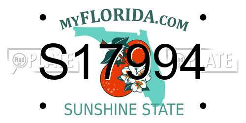 S17994 Florida License Plate