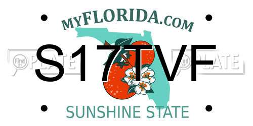 S17TVF Florida License Plate